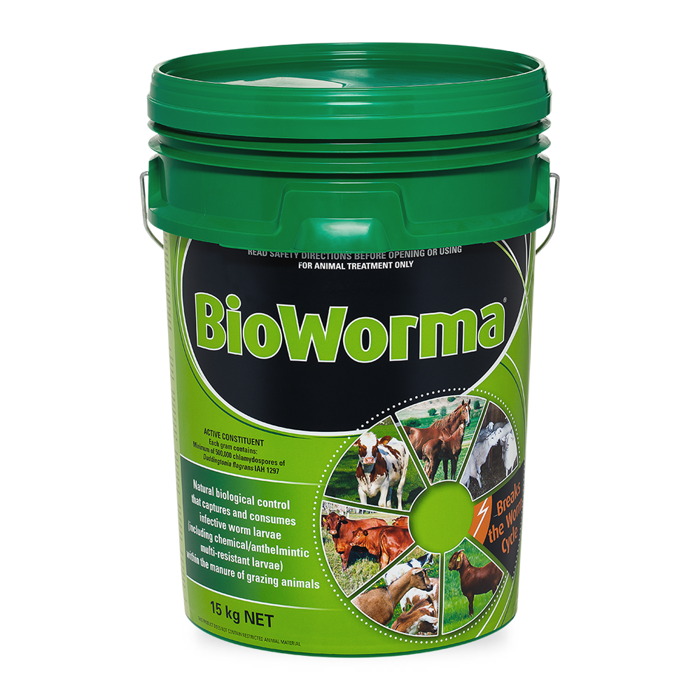 BioWorma
